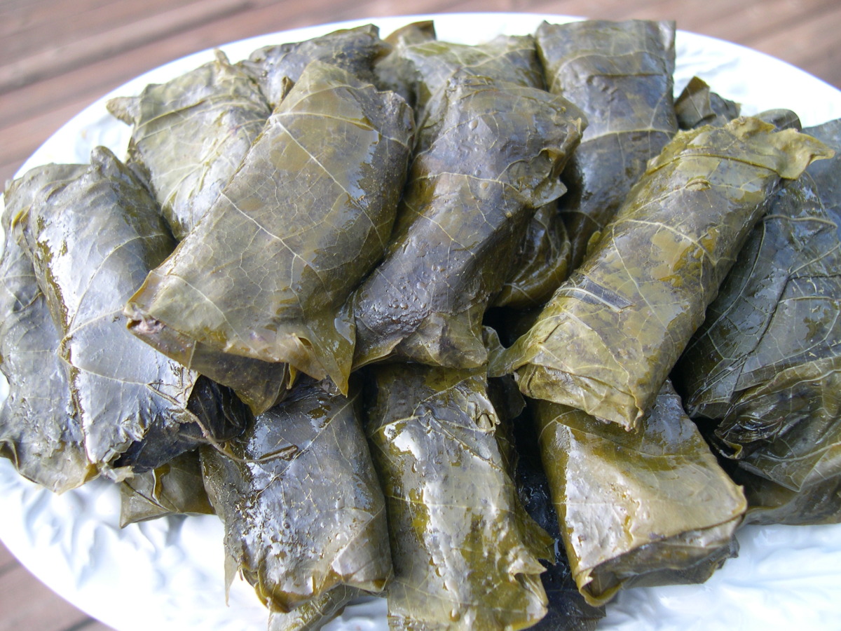 Are grape leaves bad for dogs top