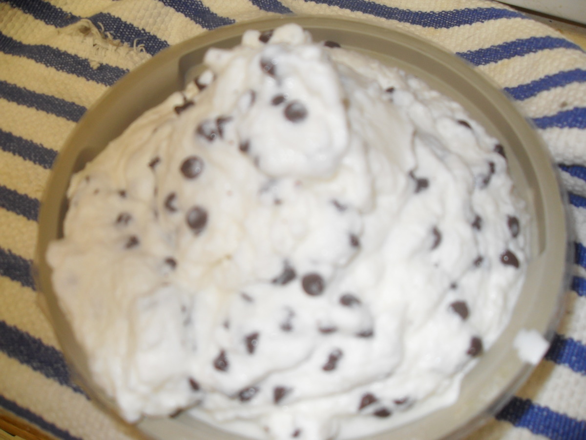 Easy Mint Chocolate Chip Ice Cream