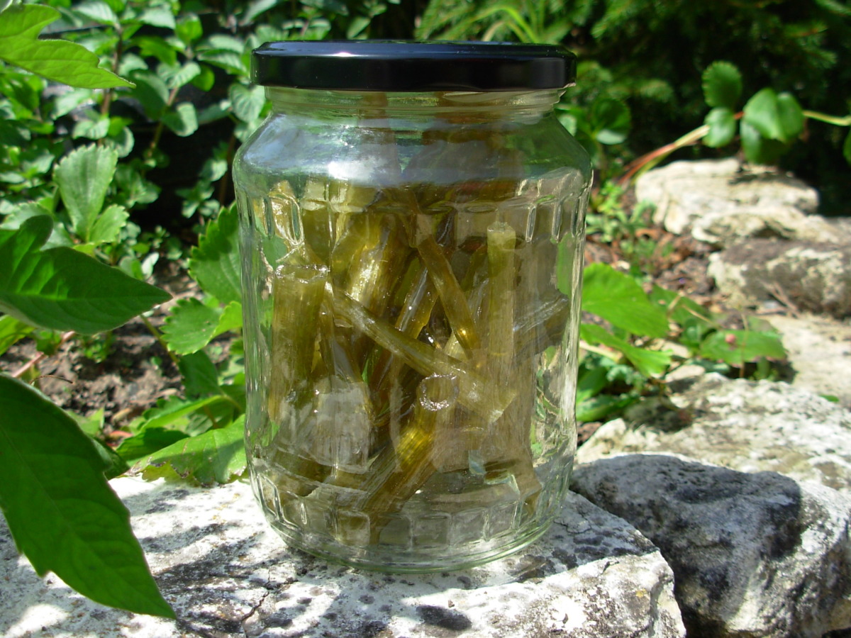 Homemade Candied Angelica - for Cakes, Bakes and Desserts image