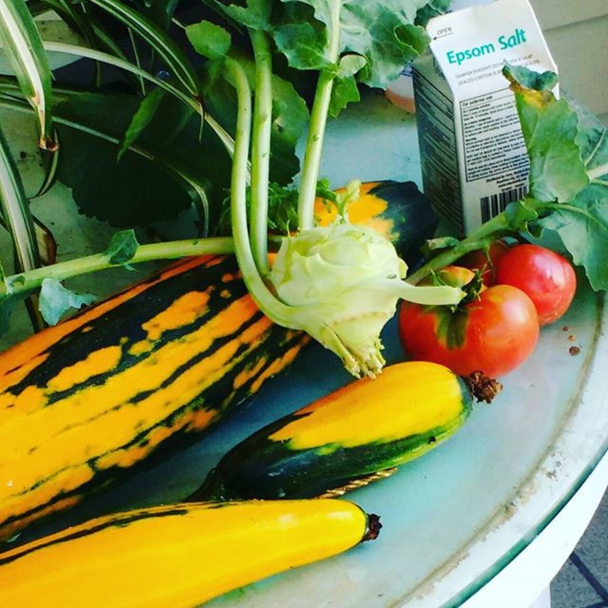Golden Zucchini