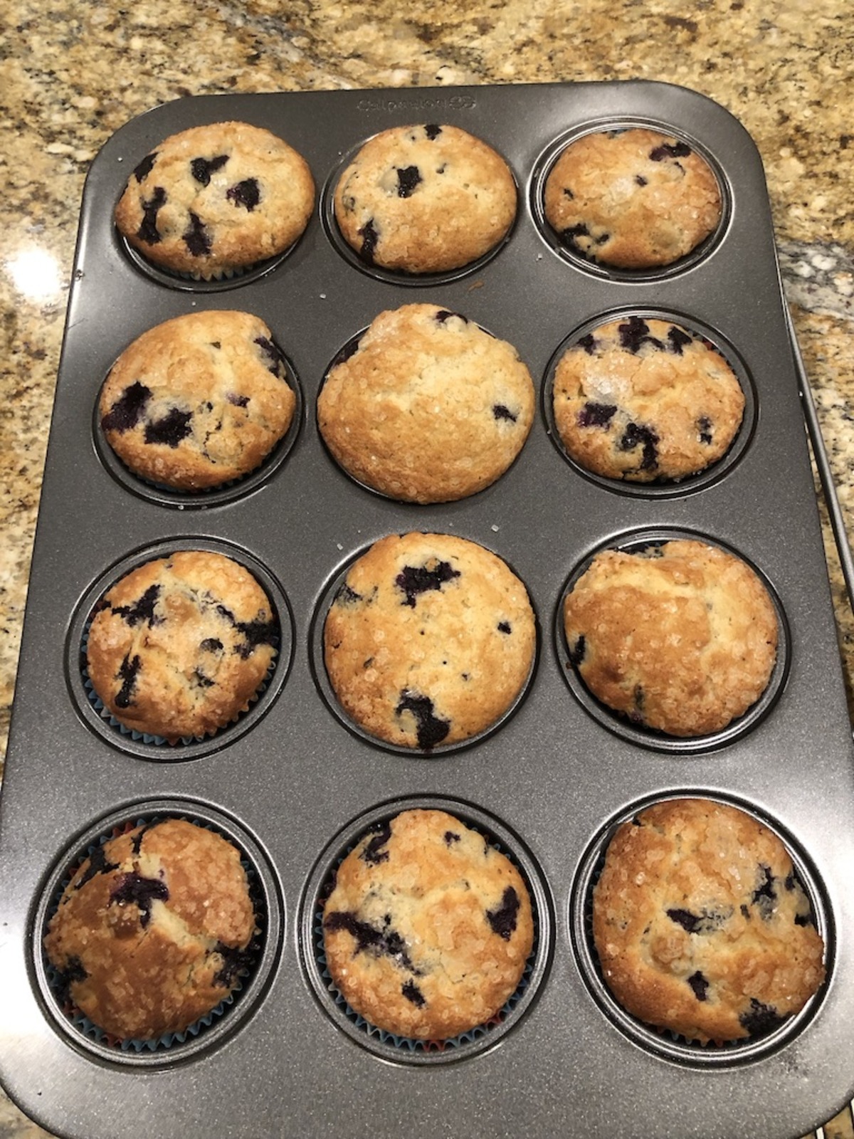 Blueberry Muffins