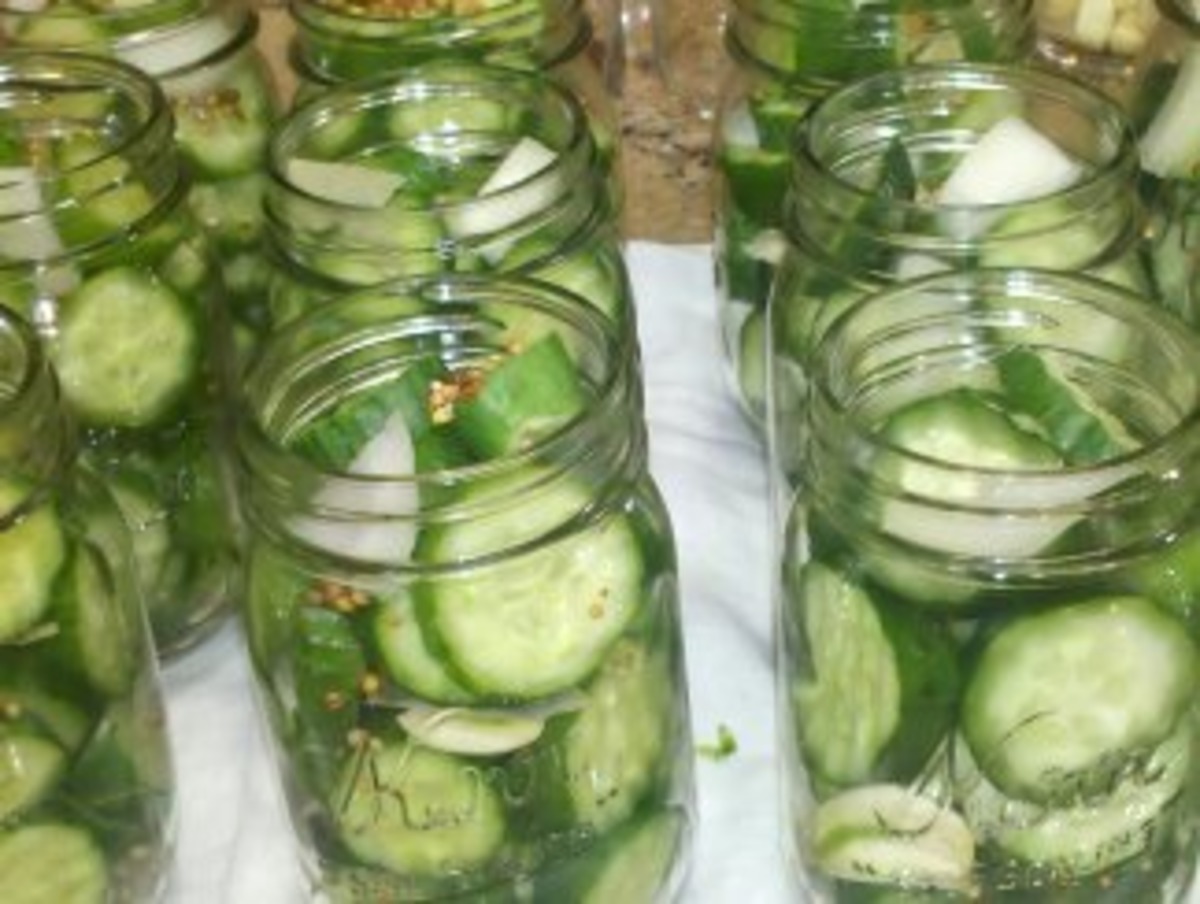 Best Refrigerator Dill Pickles Recipes