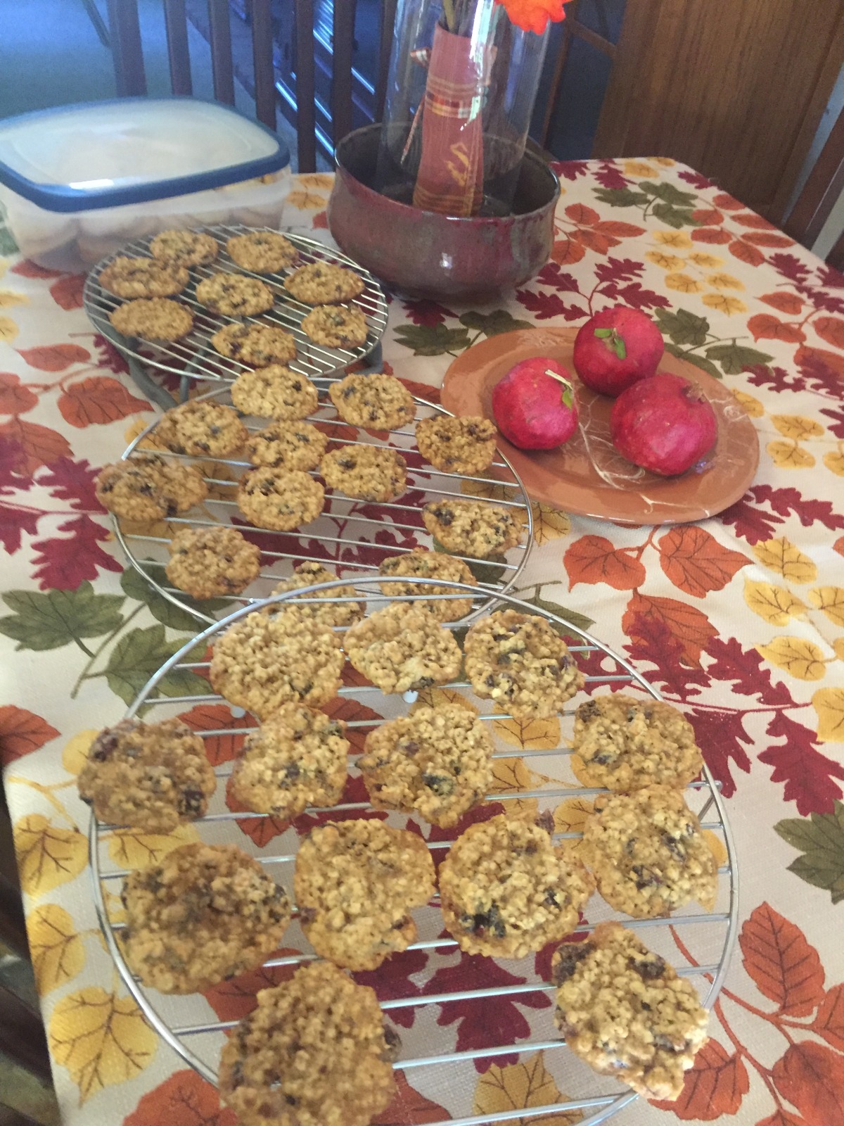 Oatmeal Craisin Cookies (World'S Best!!)-image