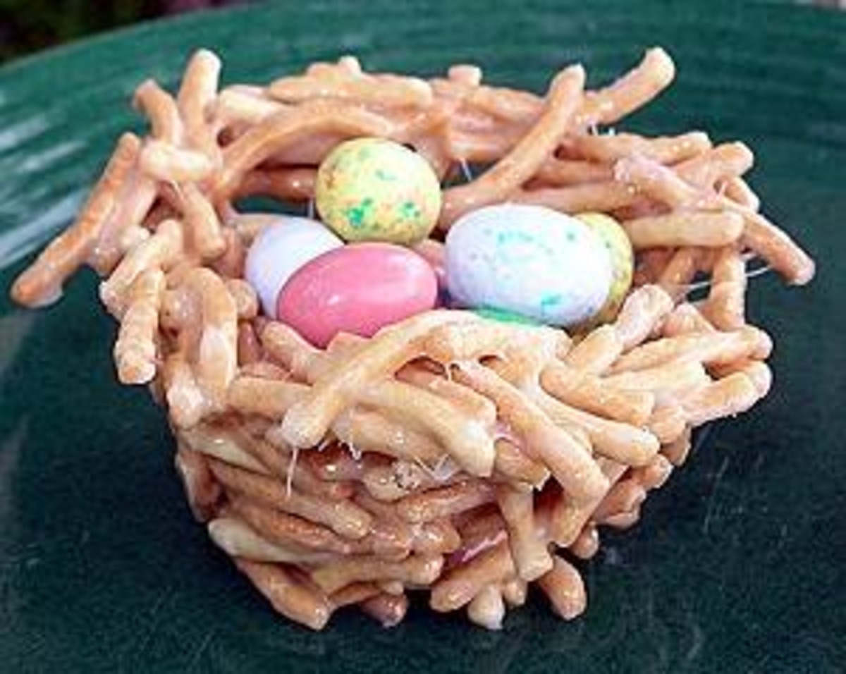 Bird Nests-image