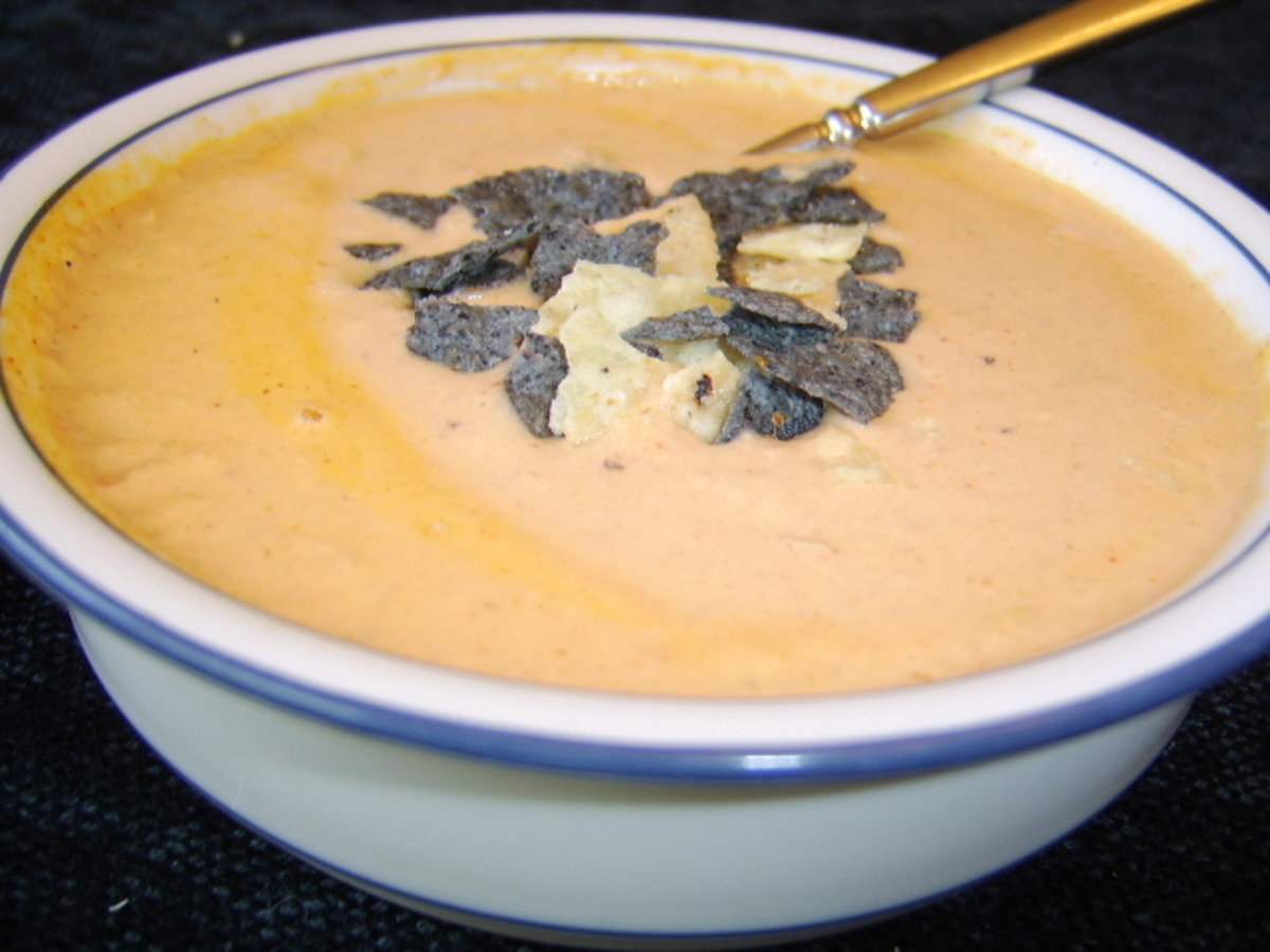 Somersizing Chicken Queso Soup Recipe
