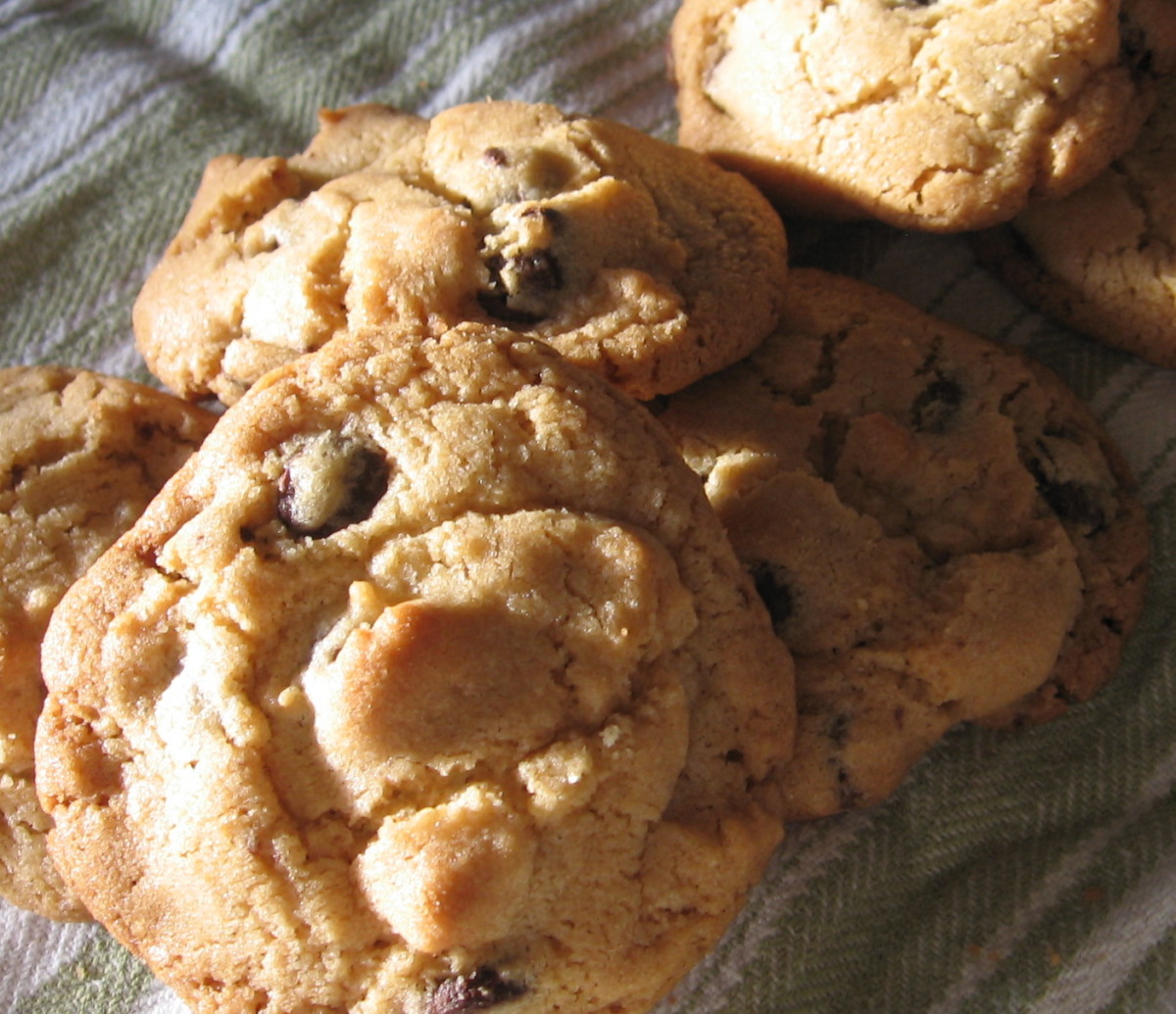 Chocolate Chip Cookies #10
