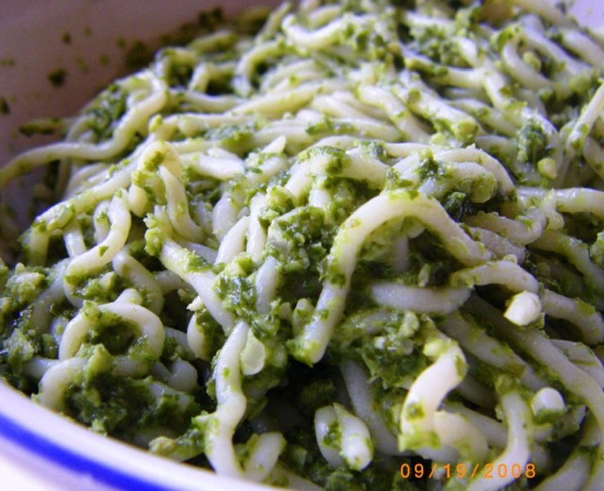 Easy Pesto Shirataki Noodles_image