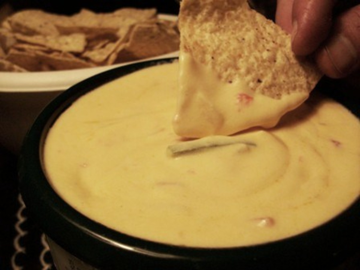 Best Mexican Chili Cheese Dip Recipes
