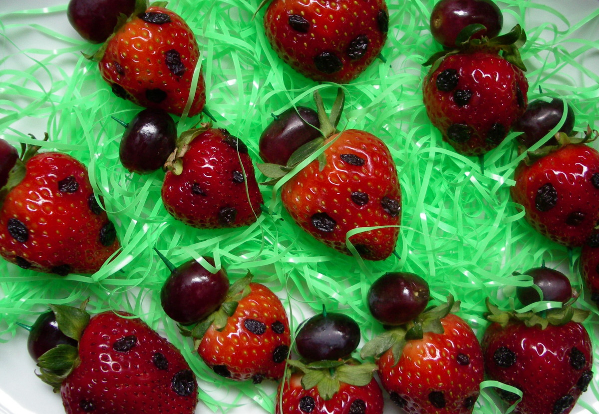 Ladybugs on a Stick(--Tasty Dish--)