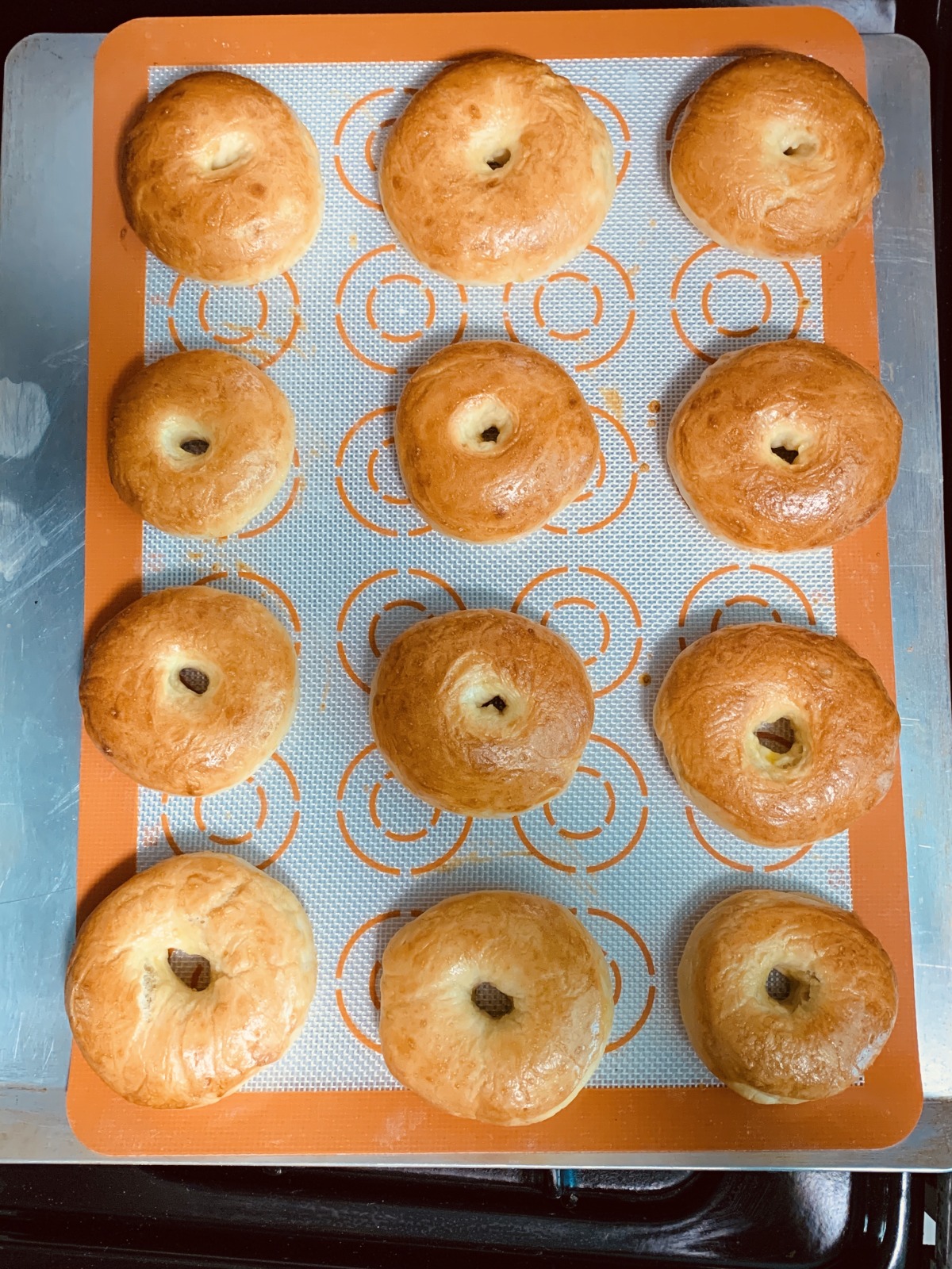 Basic Egg Bagels