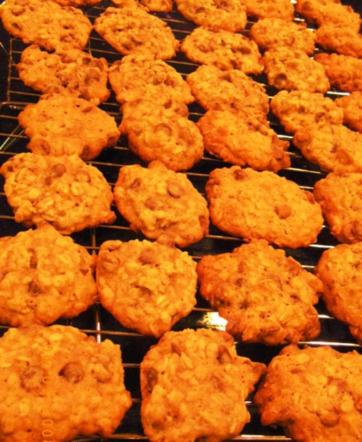 No Fuss Chocolate Oatmeal Cookies