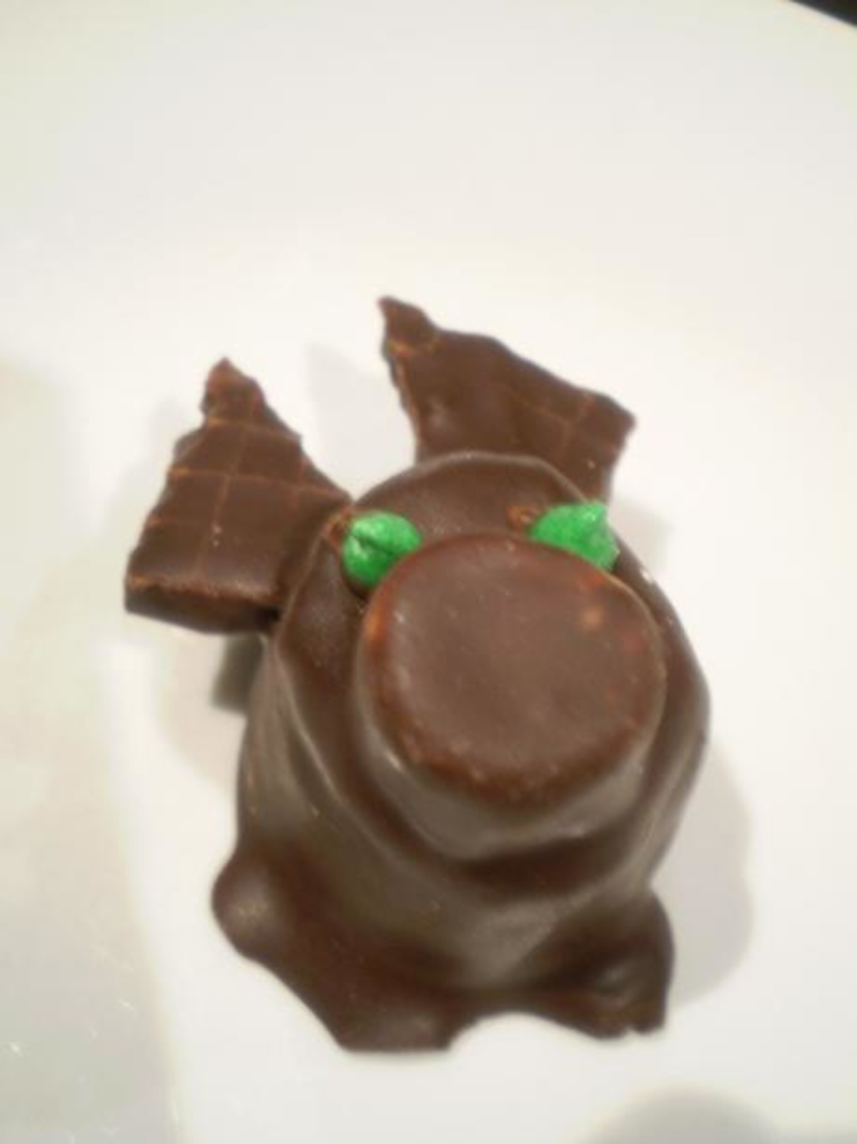 Chocolate Pigs