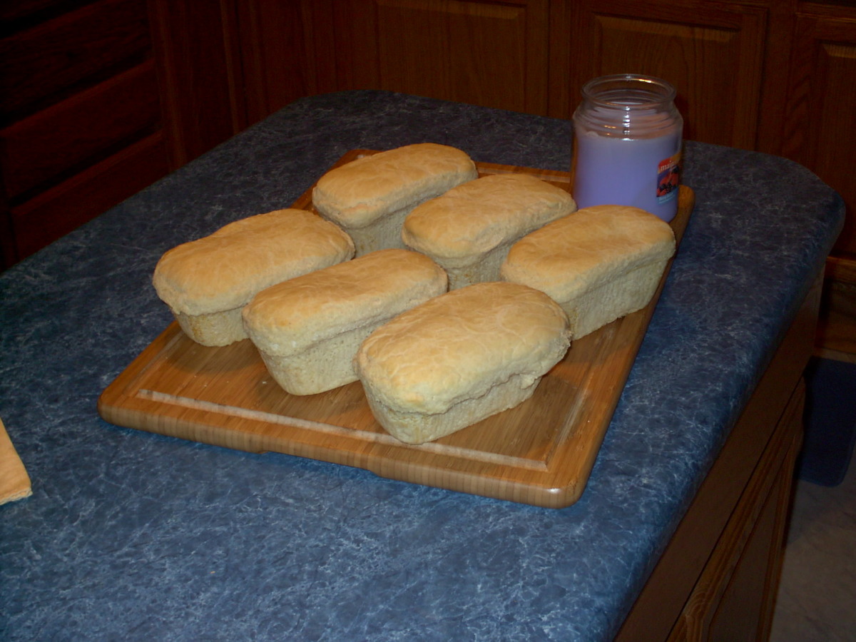 Dj's "true" Salt Rising Bread