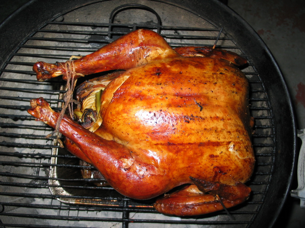 Turkey grill 2025