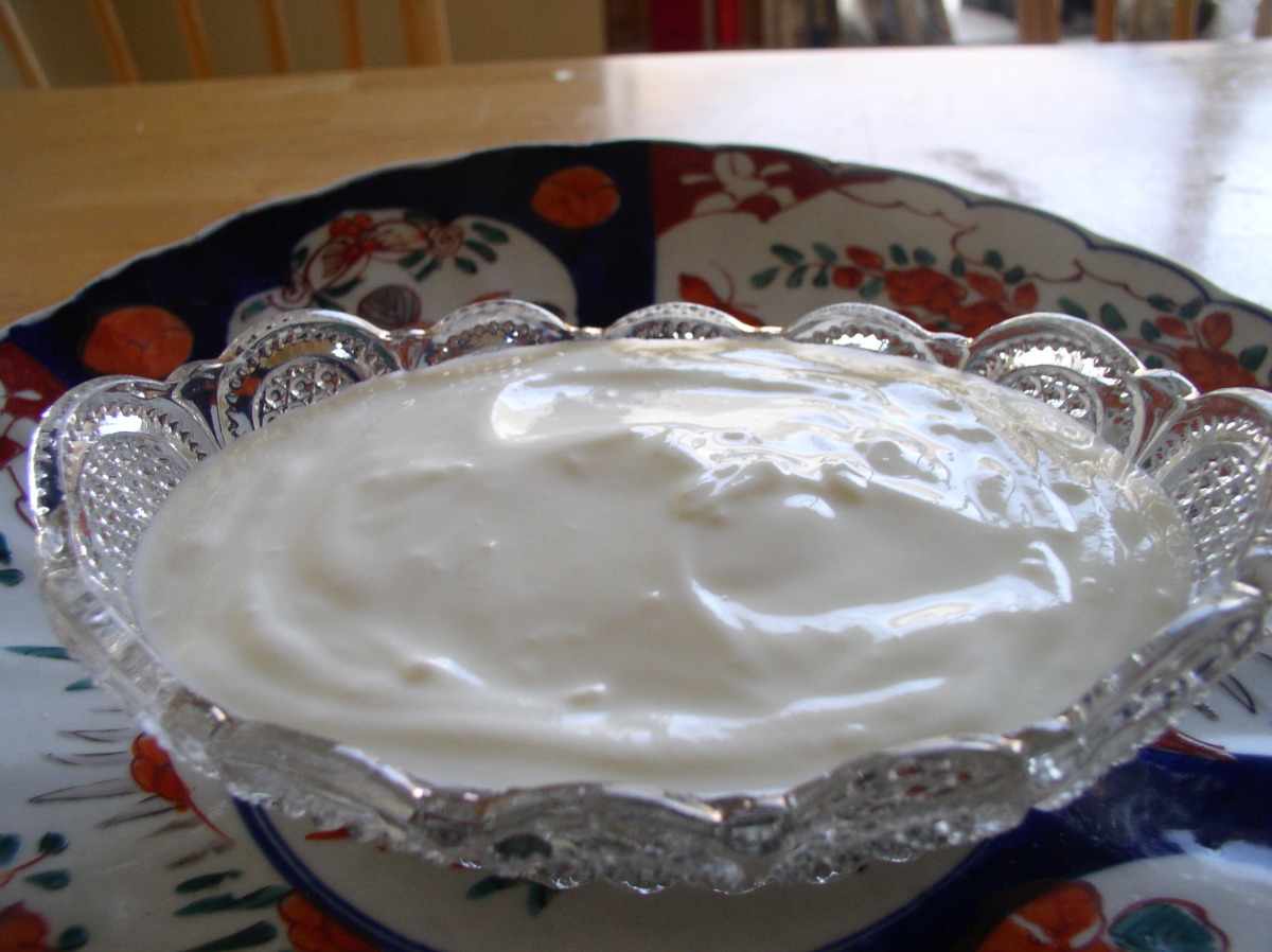 Easy Arabic Yogurt image