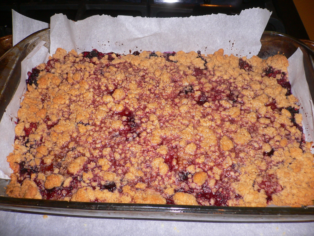 Blackberry Crunch Bars