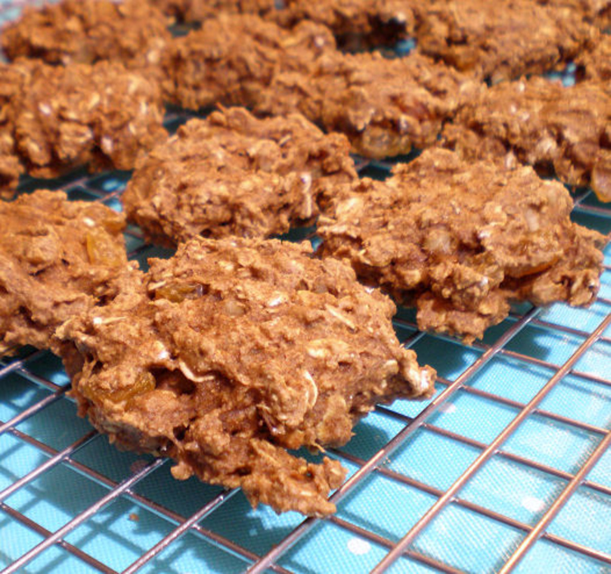 Healthy Oatmeal/Raisin Cookies_image