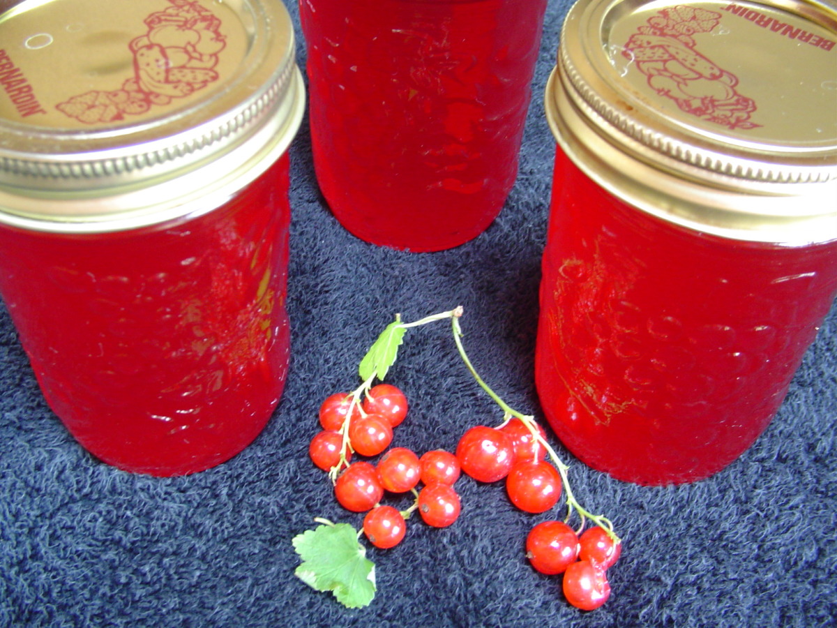 Currant Jelly