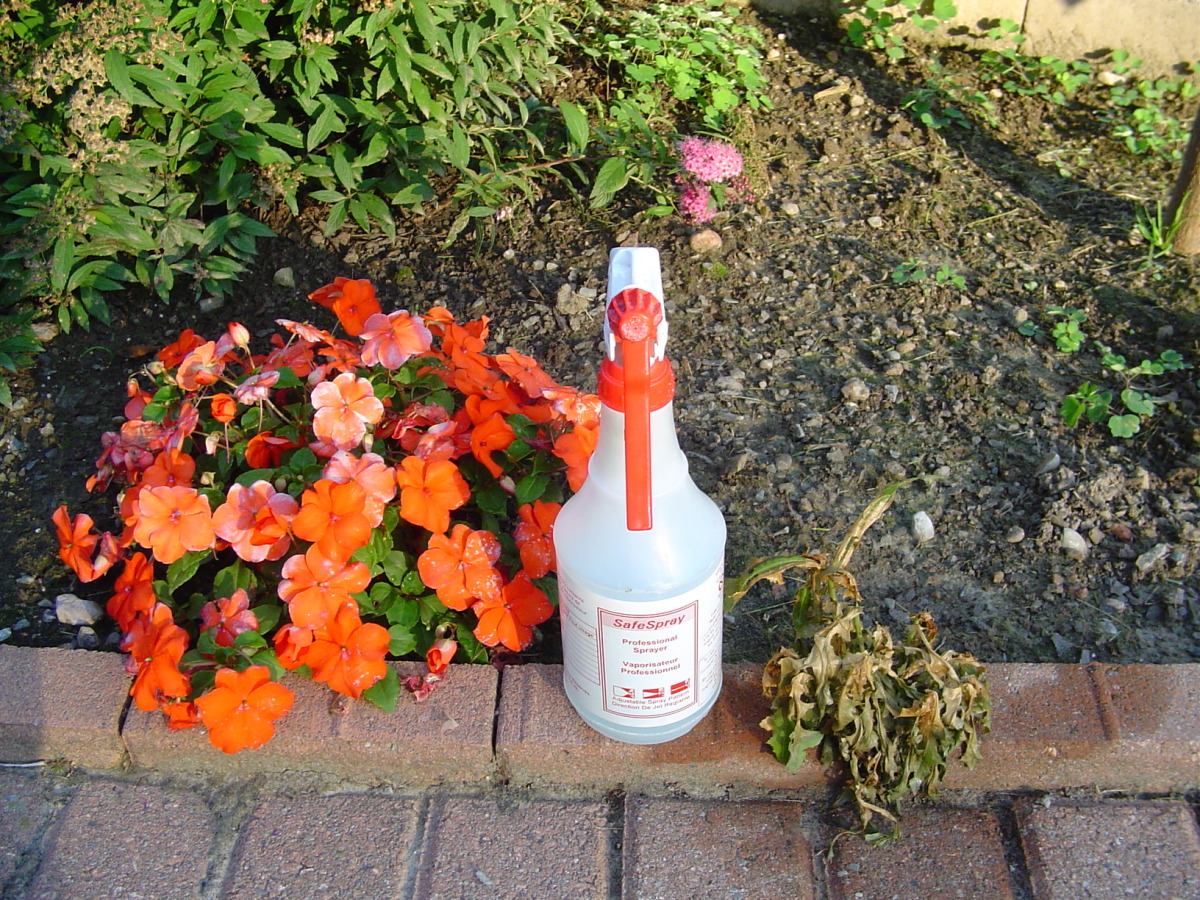 Organic Weed Killer Recipe