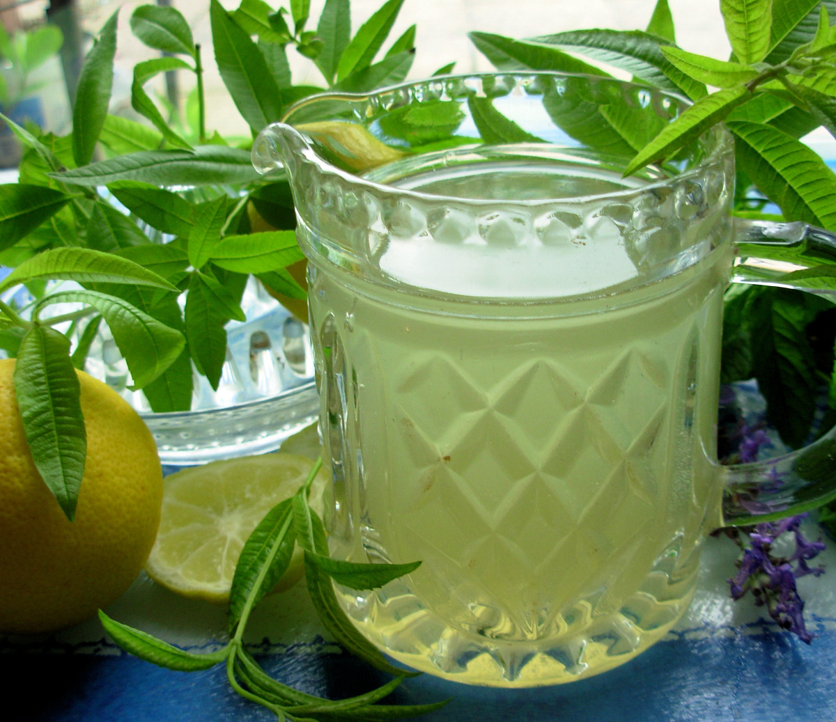 Lemon Verbena Refresher