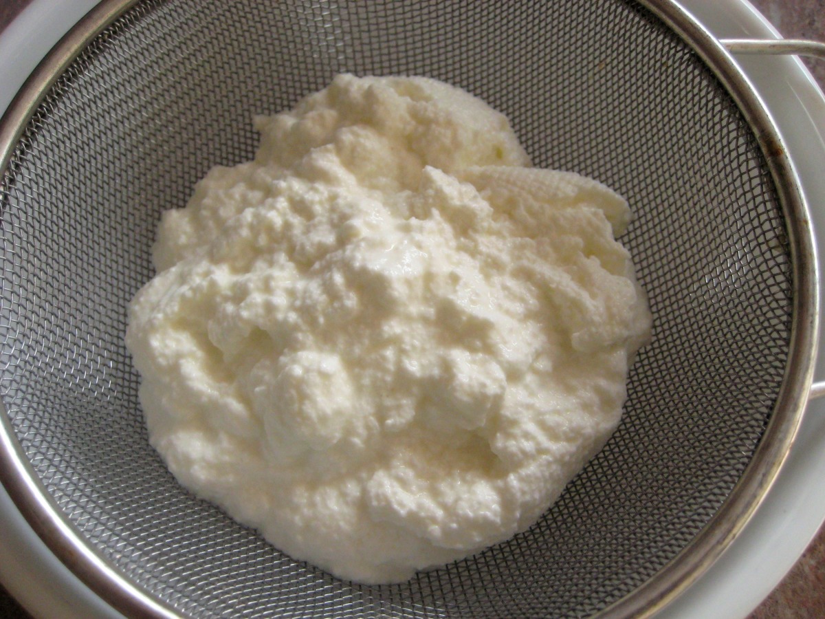 Cottage Cheese_image