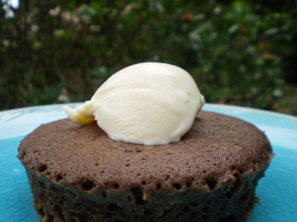 5 Minute Spice Cake in Microwave-image