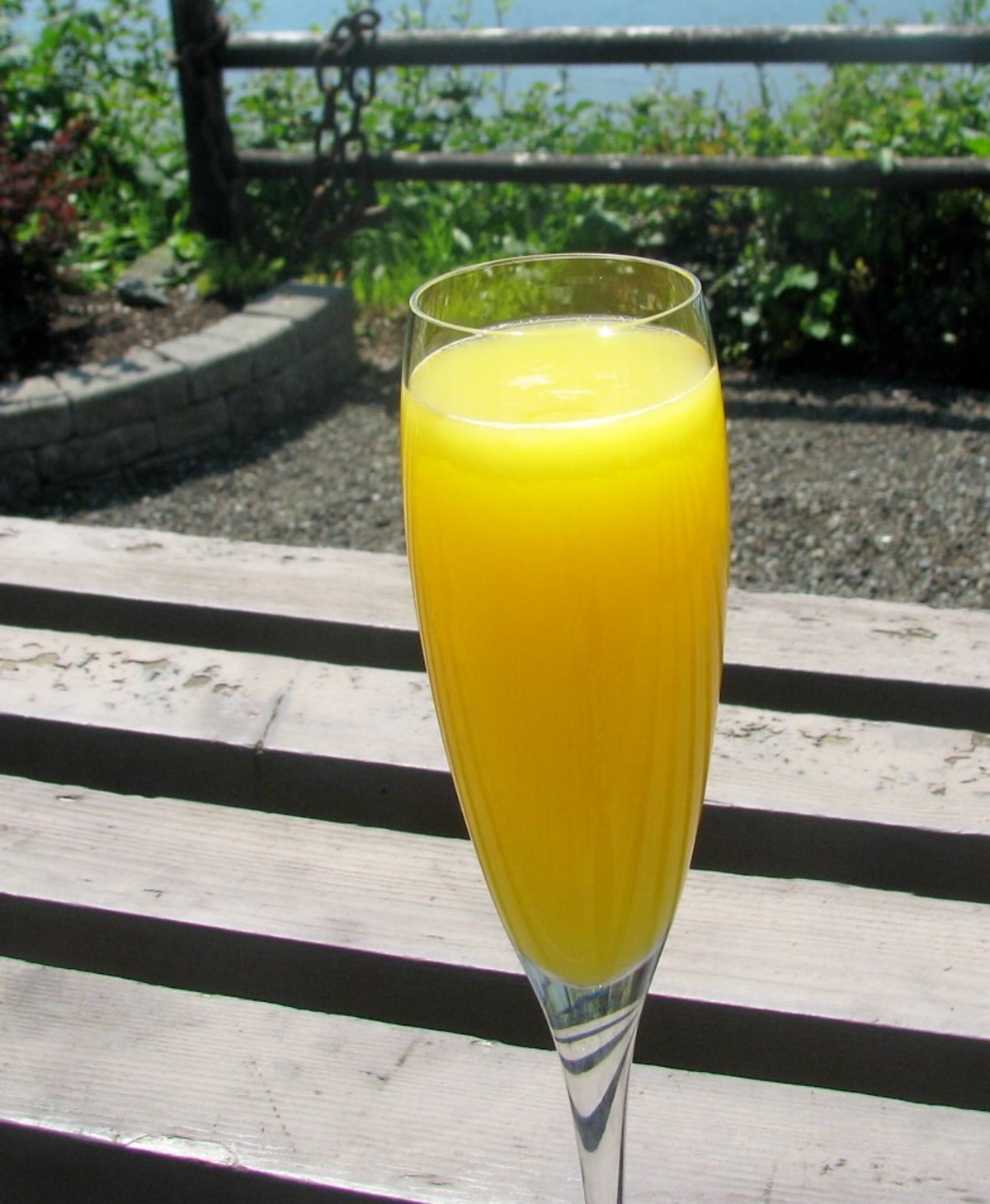 Classic Mimosa