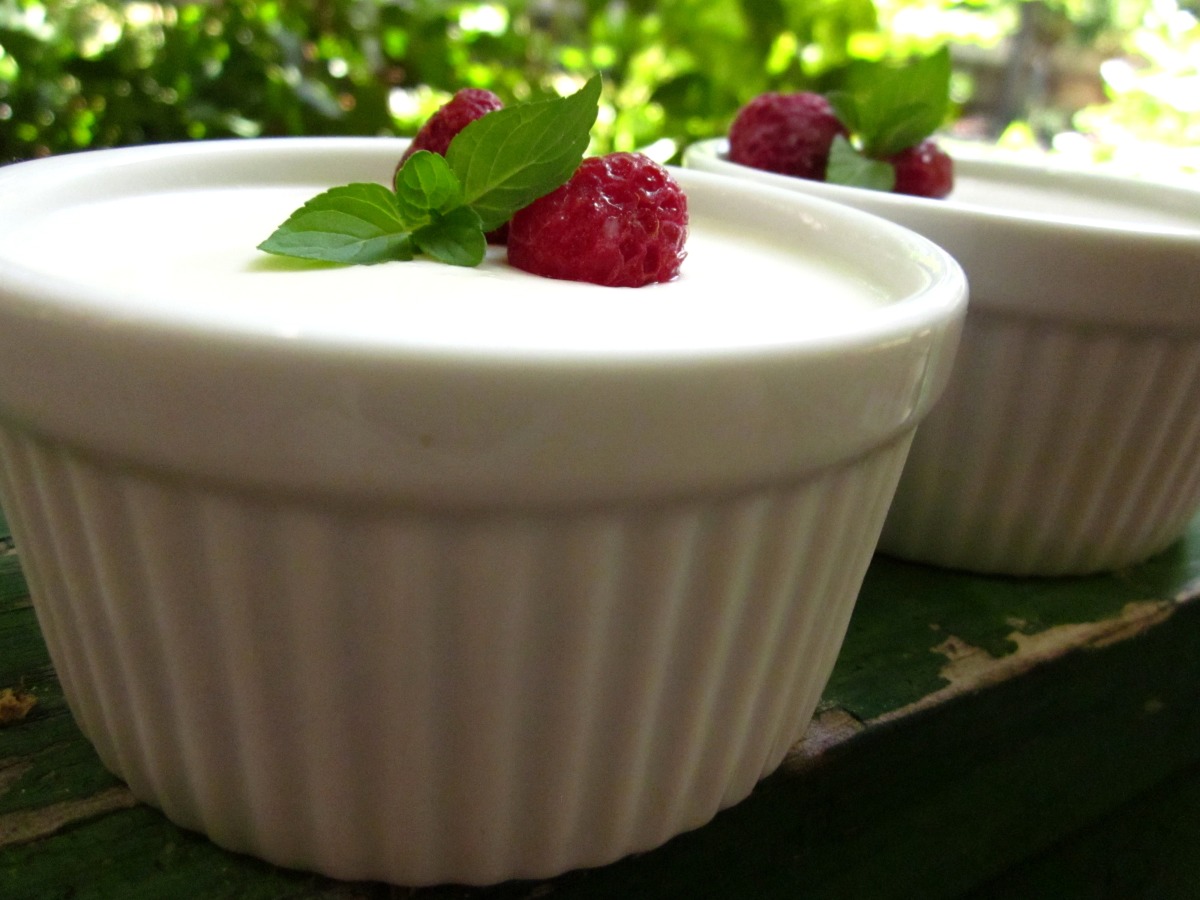 Buttermilk Panna Cotta