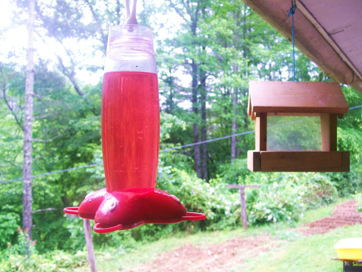 Hummingbird Syrup for Feeders image