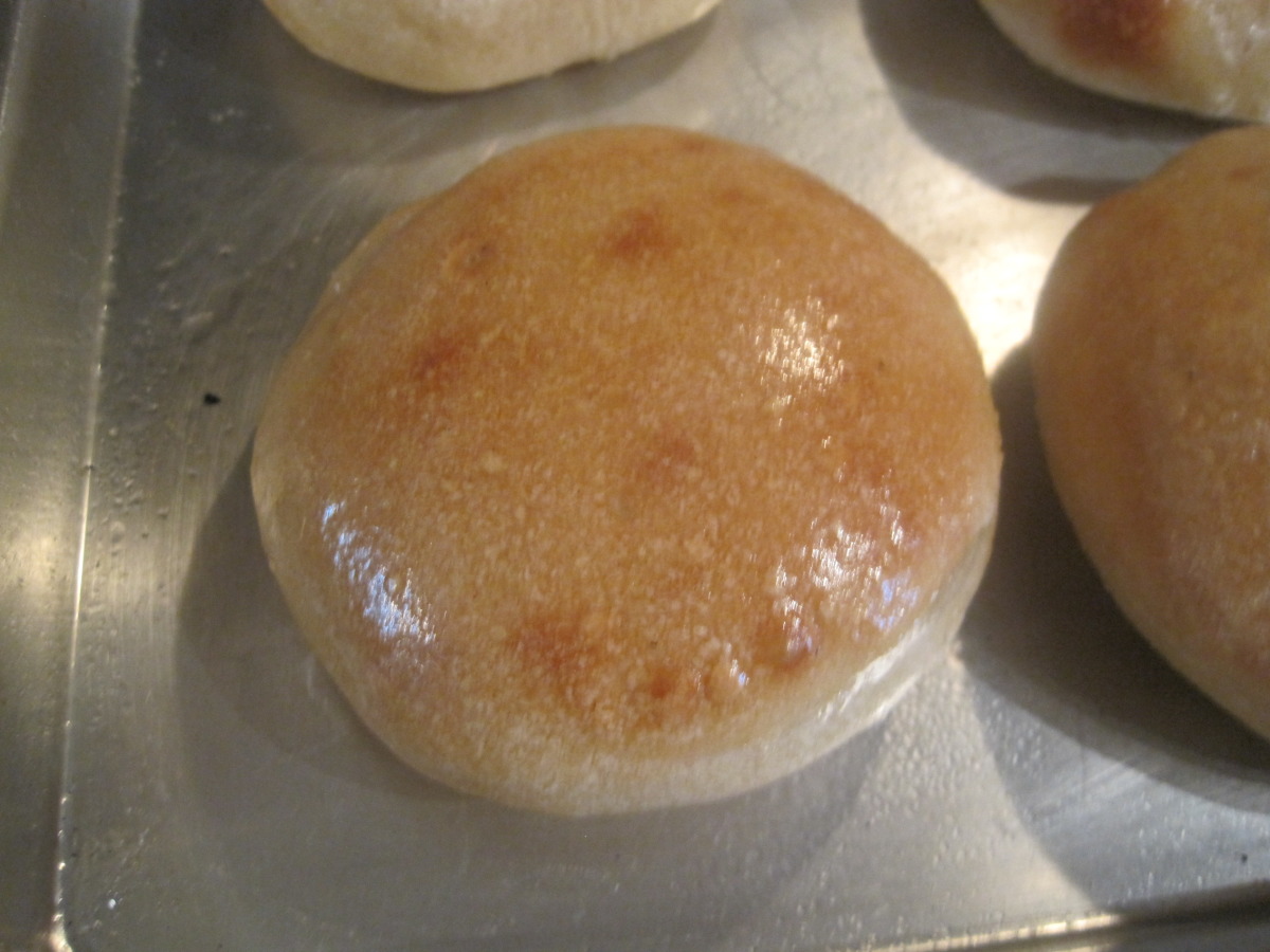 Gourmet French Bread Style Hamburger and Hotdog Buns (Bread Mach