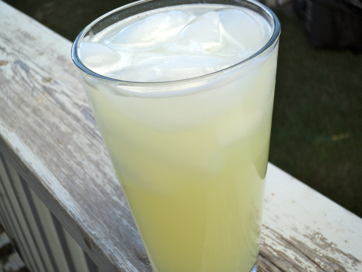 Vodka Lime And Soda Recipe Food