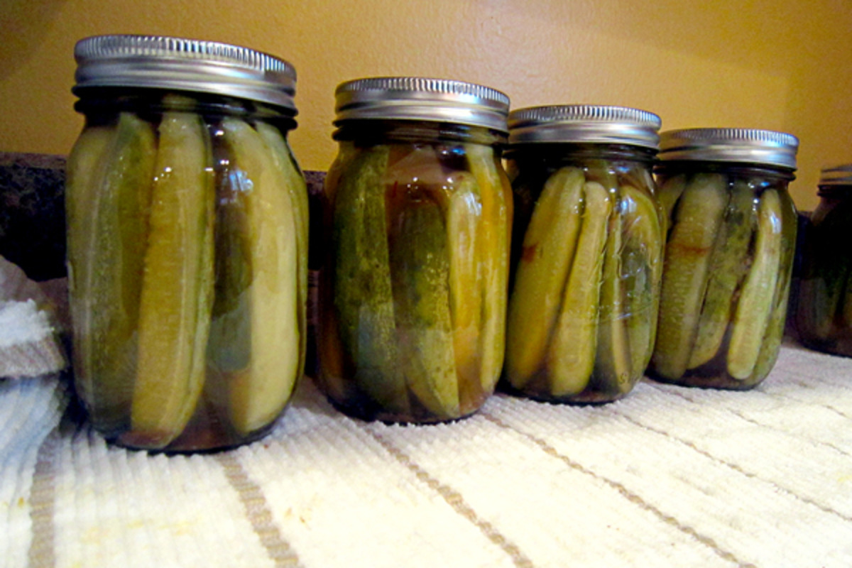 Stevia Sweet Pickles for Canning Recipe