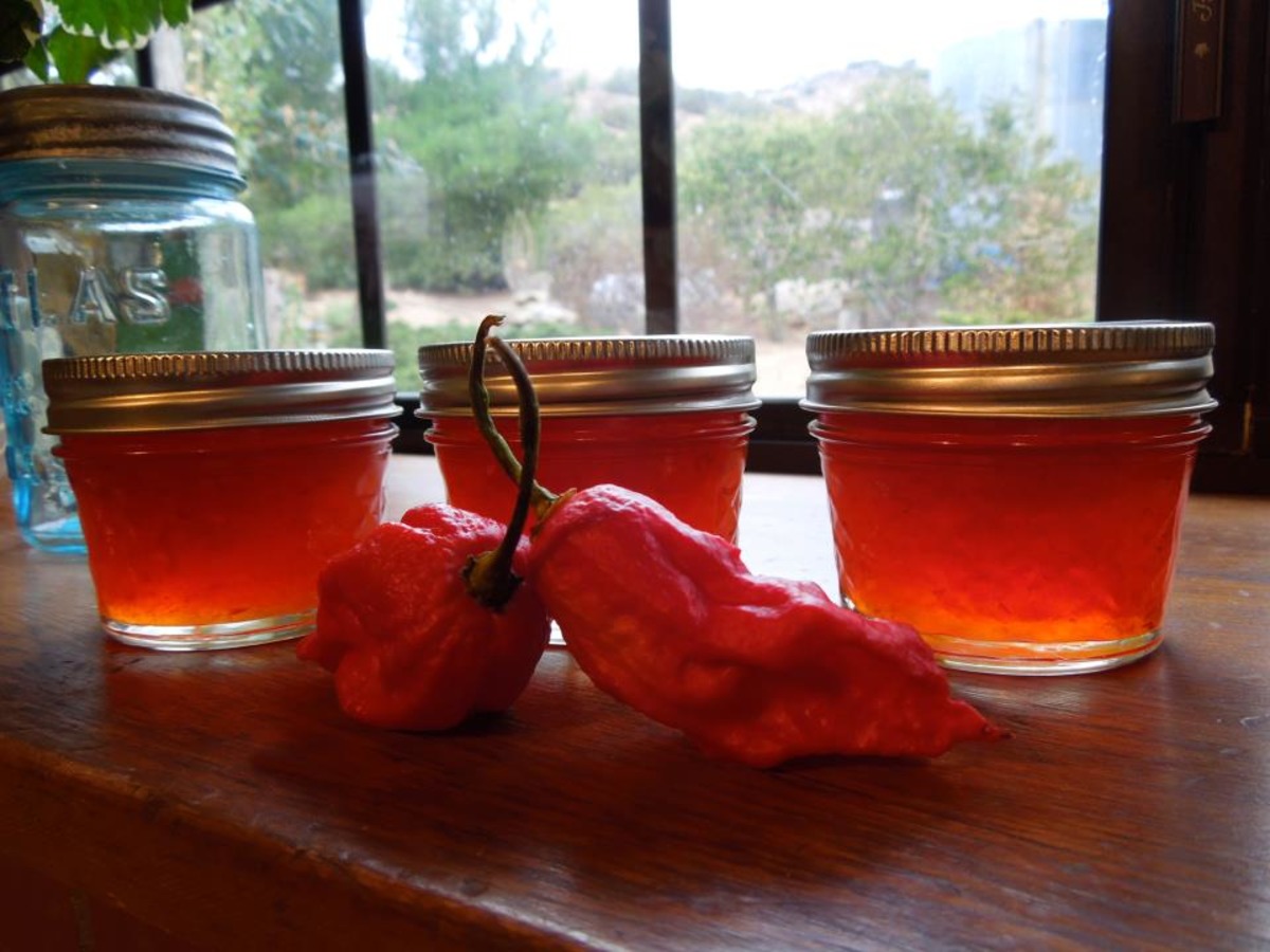 Ghost Pepper Jelly! image