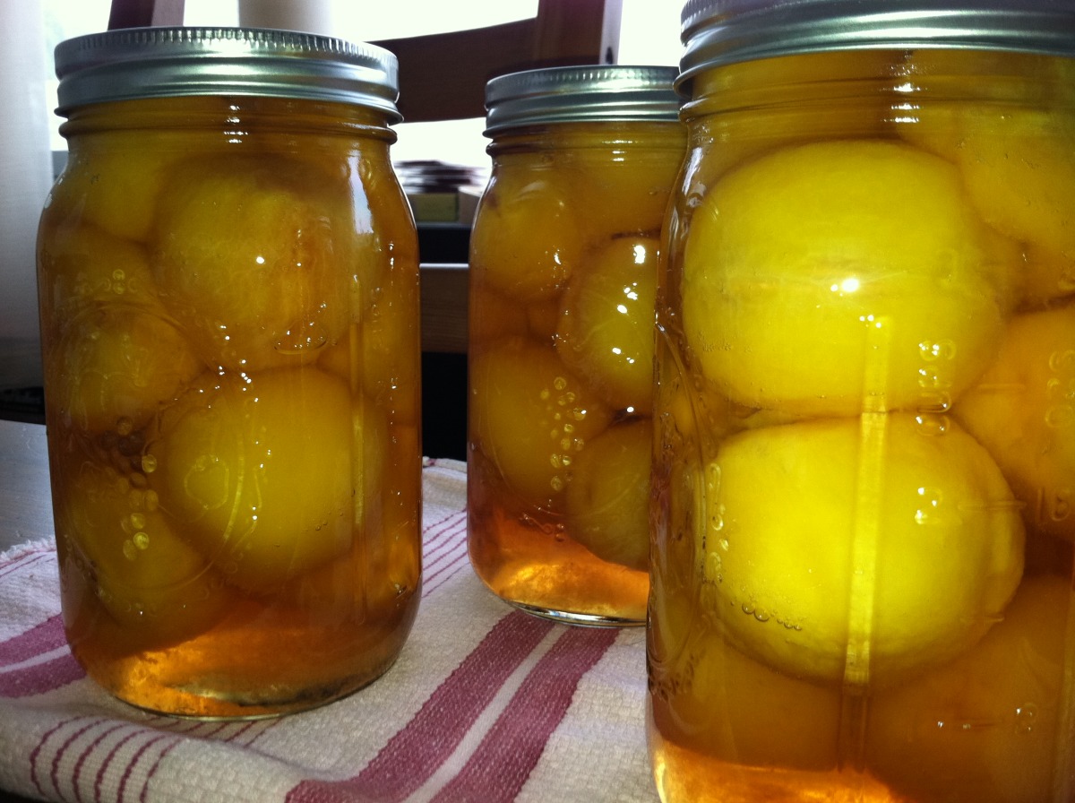 Pickled Peaches_image