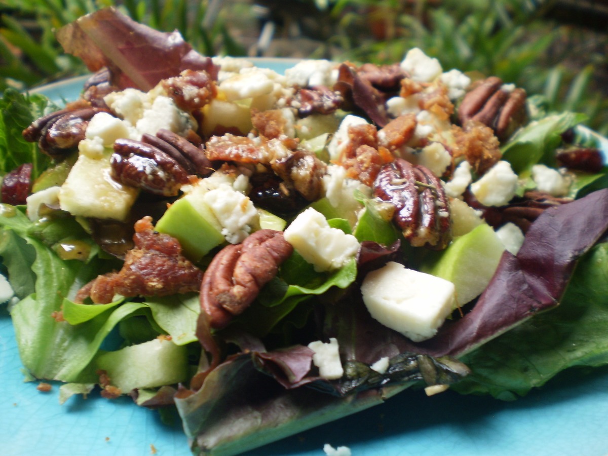 Apple Gorgonzola Salad With Balsamic Vinaigrette Recipe Food Com