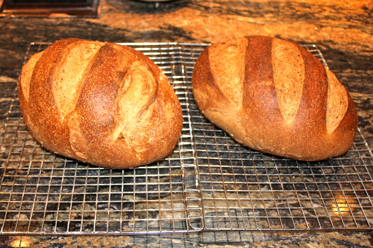 Easy Rye Bread image