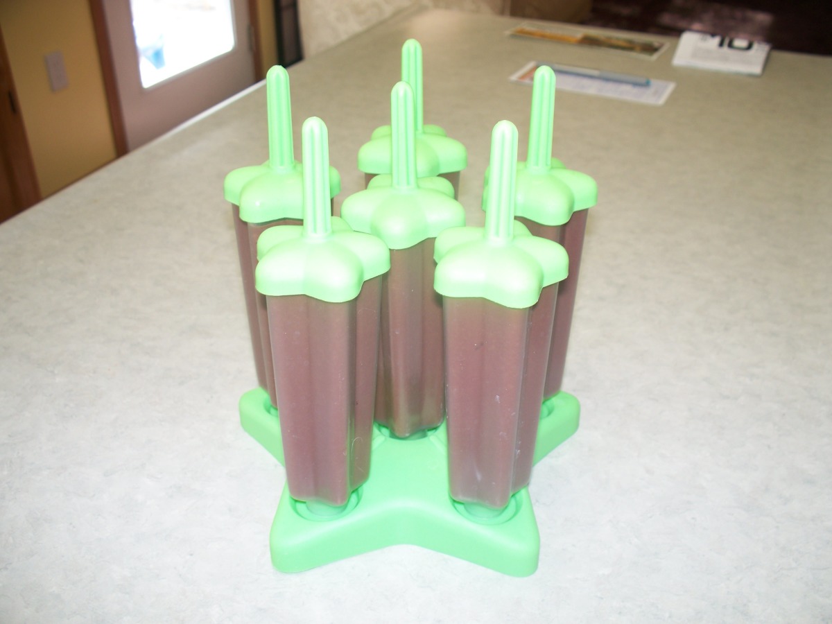 Chocolate Pudding Pops