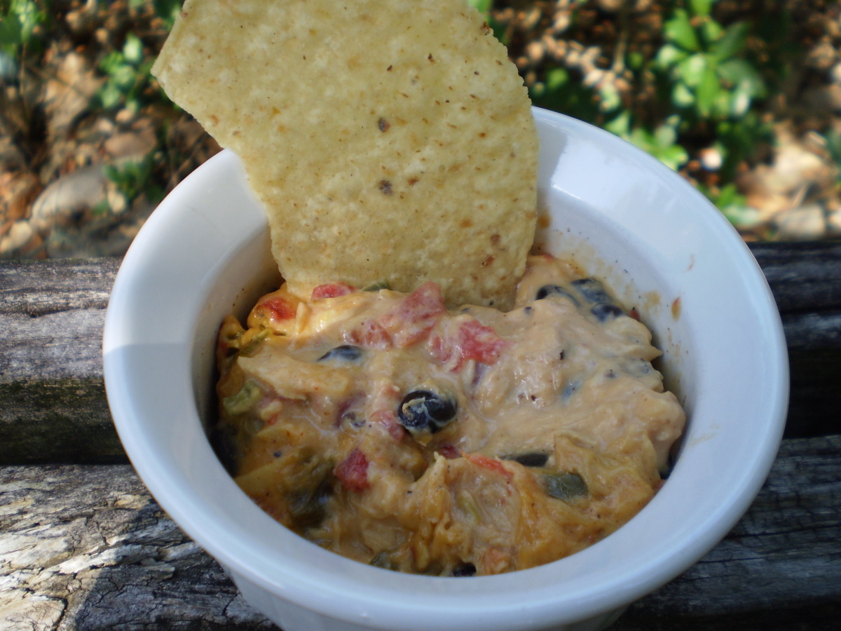 Crock Pot Chicken Nacho Dip