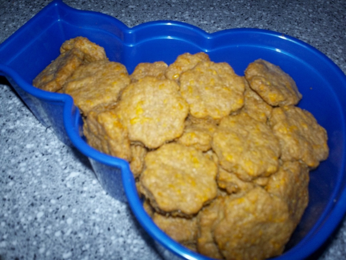 Cheesy store dog treats