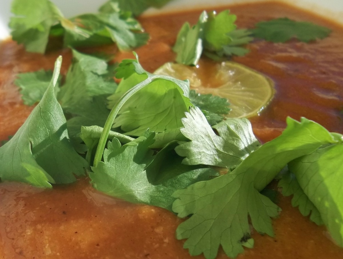 Dr. Oz&rsquo;s Belly-Blasting New Year&rsquo;s Soup
