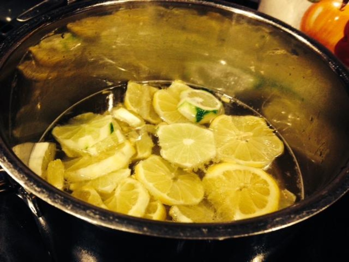 Lemon Lime Syrup For SodaStream Recipe Food