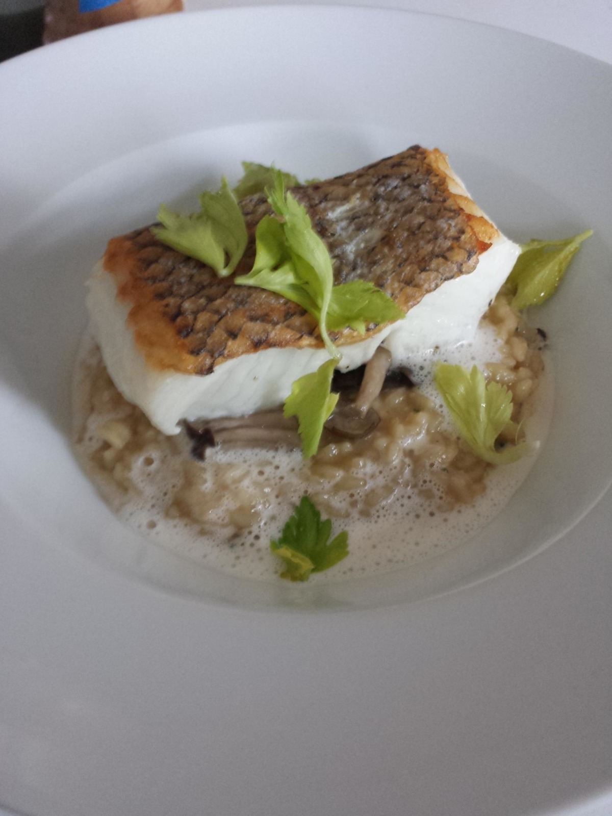 Pan Roasted Chilean Sea Bass Recipe - Food.com