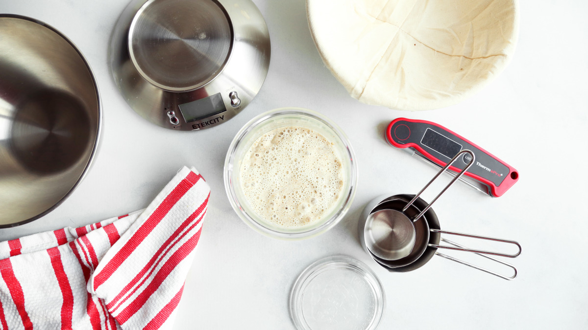 Sourdough Starter-image