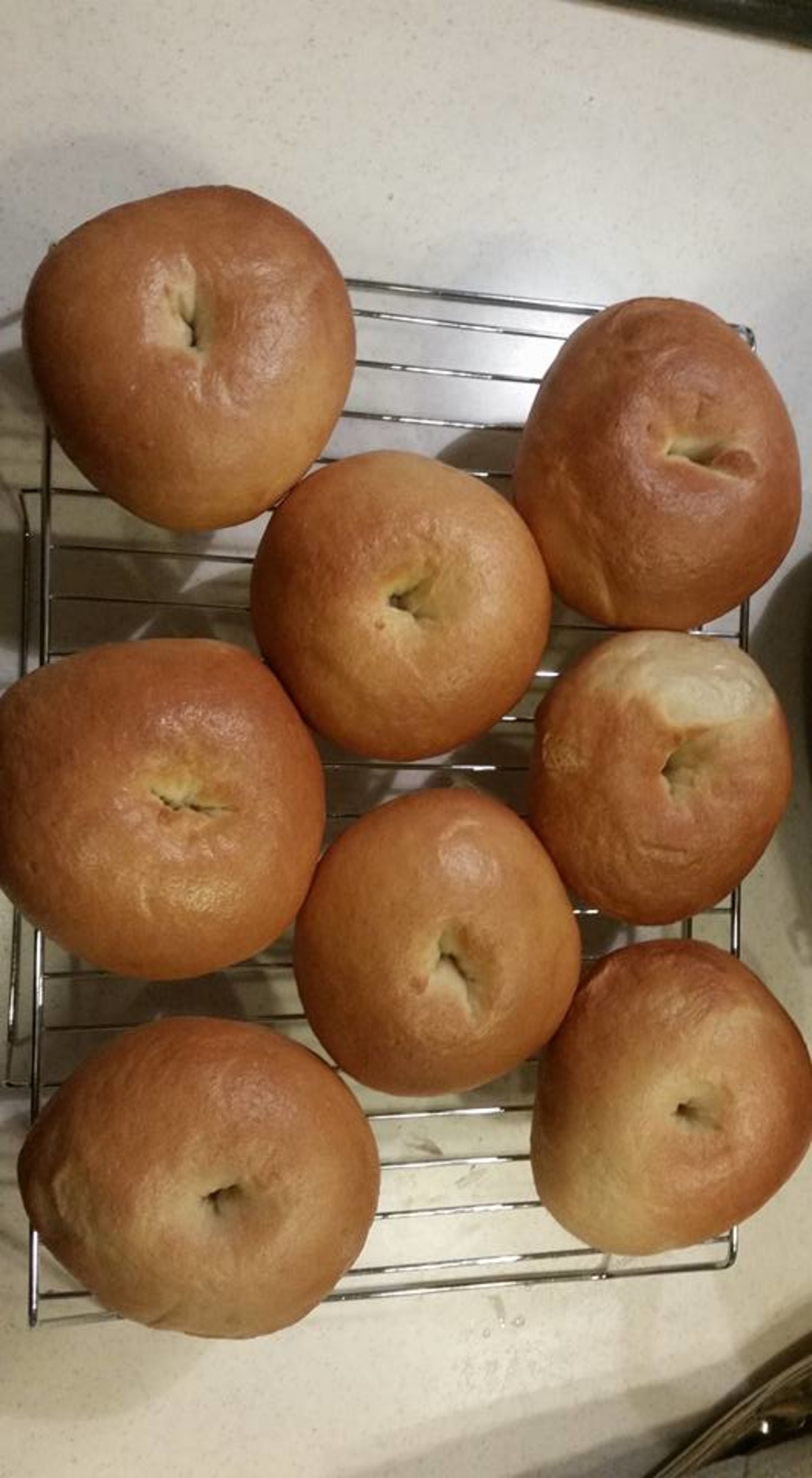 Water Bagels (Plain) Recipe