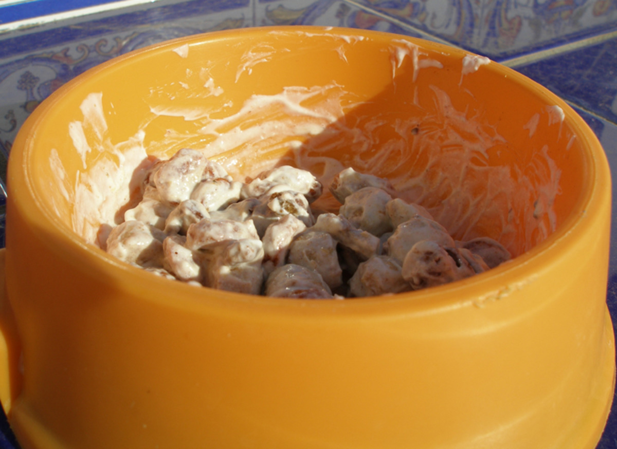 happy dog puppy food
