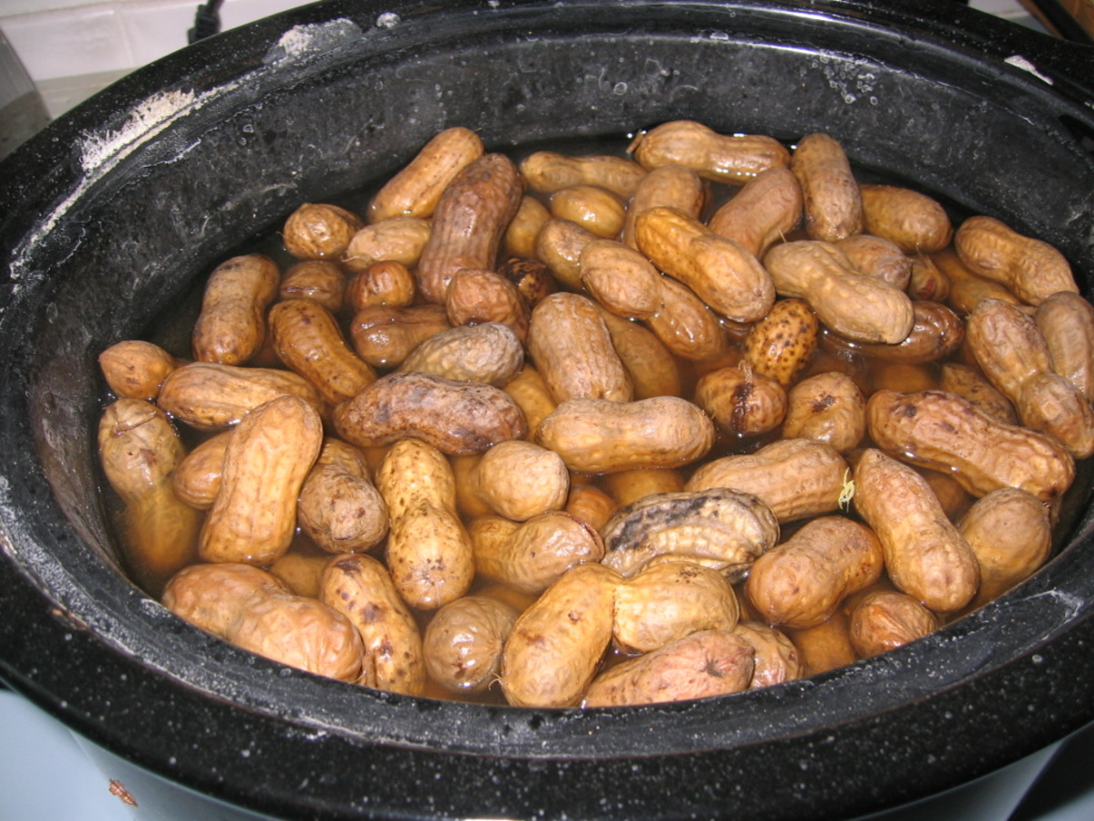 Best Crock Pot Cajun Hot Boiled Peanuts Recipes