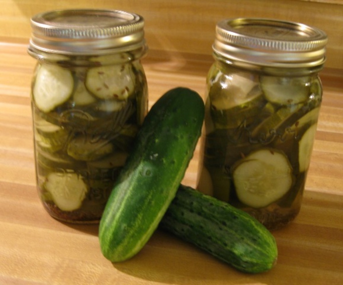 Easy Dill Pickles_image