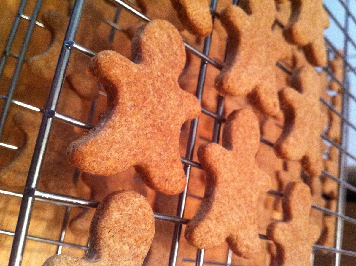 Martha stewart dog biscuits hotsell