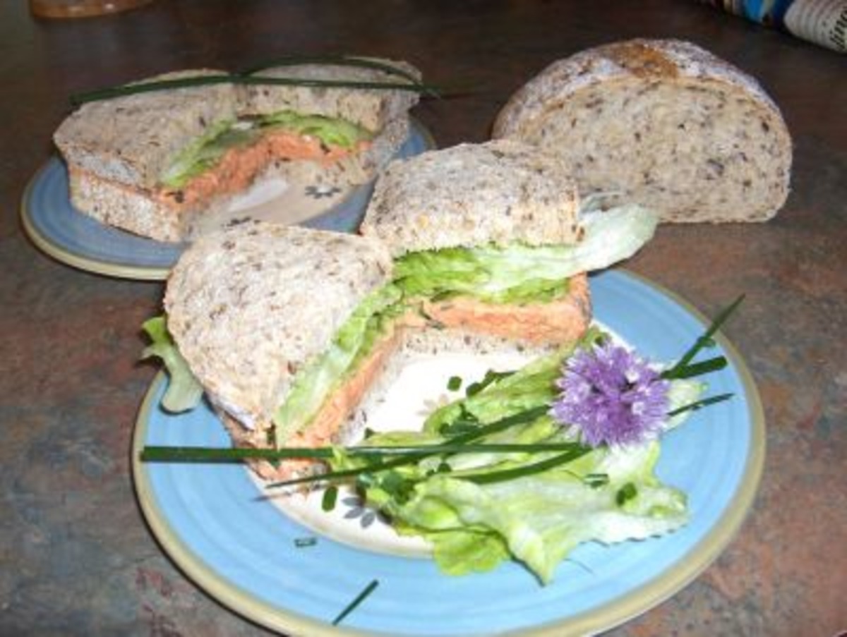 Eye Opening Salmon Sandwiches_image