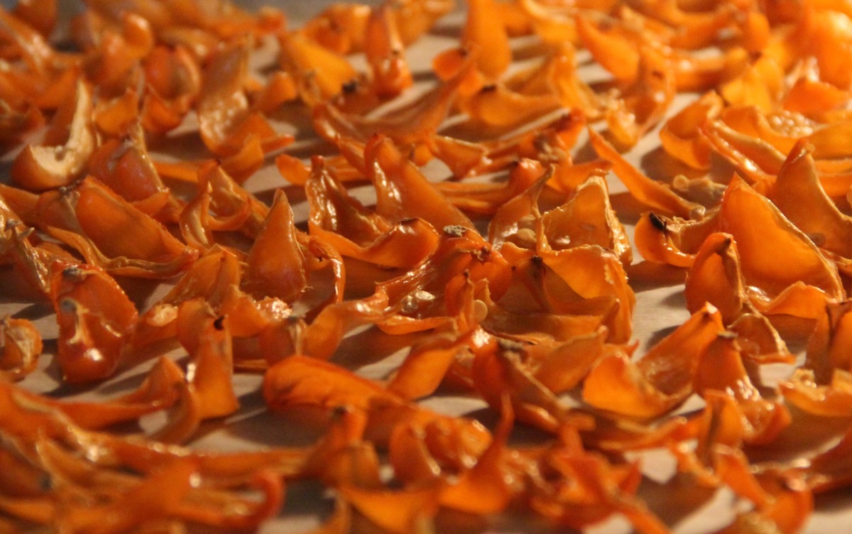 Oven Dried Hot Peppers-Flakes or Powder image